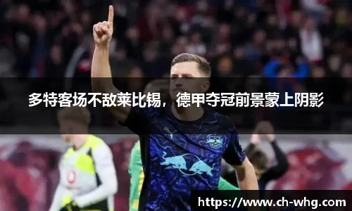 豪门国际app下载